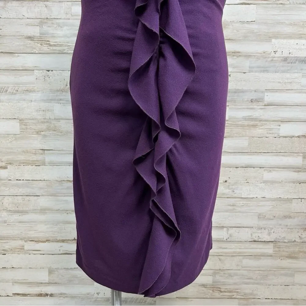 Elie Tahari Ruffle Wool Blend Sheath Dress Size 8 Purple Sleeveless Zip Front - Picture 3 of 14